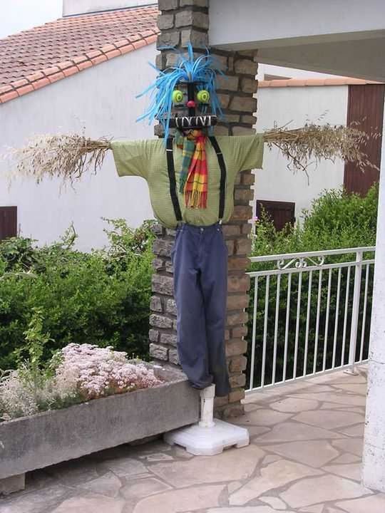 24.jpg