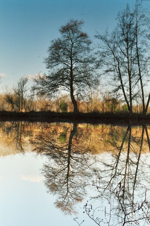 001_1.JPG