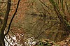 IMGP6597.JPG