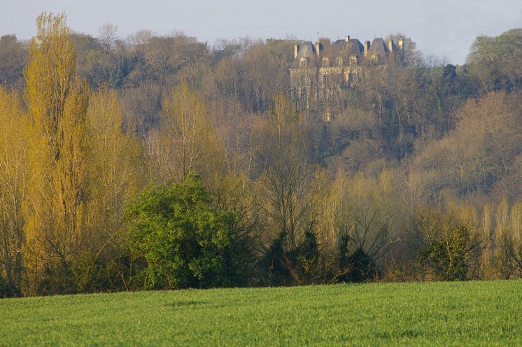 Vue sur le chateau de Chantemerle